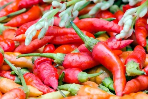 Guinea-pepper Stock Photos