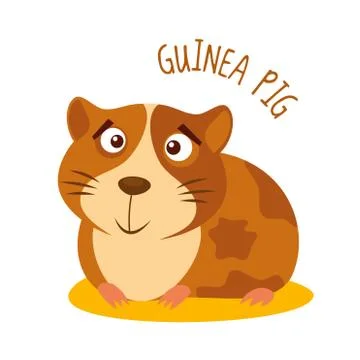 Guinea pig Vector illustration isolated Stock Illustration