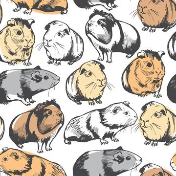 Guinea pigs. Vector pattern. Stock Illustration