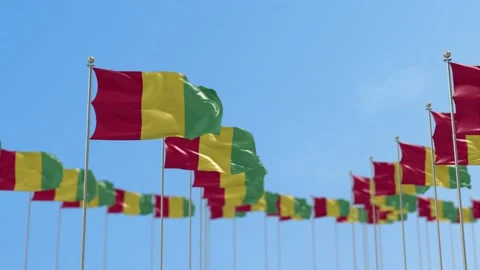 Guinea Row Of Flags 3D Animation Видео 148695982
