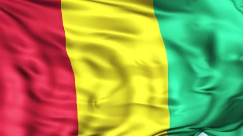 Guinea Waving Flag Background 스톡 동영상 204136740
