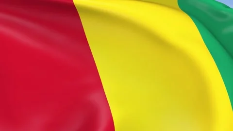 Guinea Waving Flag Background Loop Stock Footage 317844851