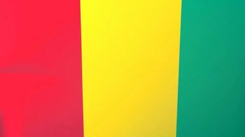 Guinea Waving Flag Stock Footage 10761957