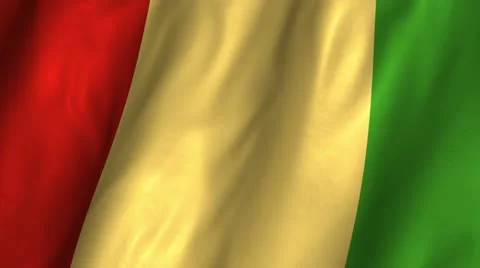 Guinea Waving Flag Stock Footage 12278936