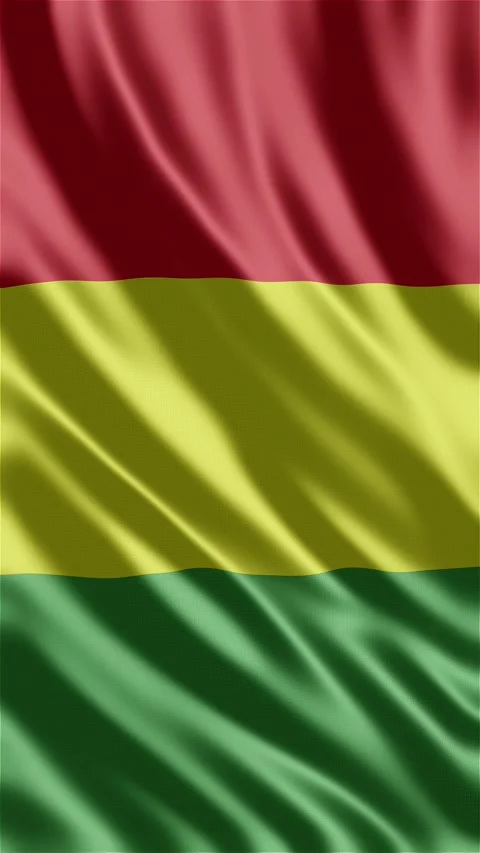 Guinea waving flag Stock Footage 288004296