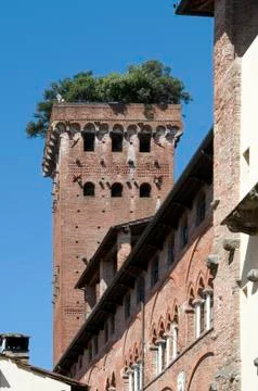 Guinigi tower Stock Photos
