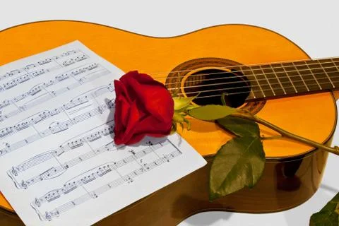 A guitar and a rose. Stock Photos