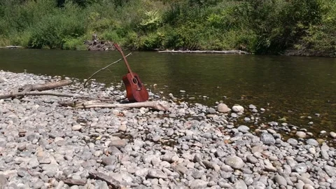 Guitar on the bank of the Cedar river Stock Footage 167028494