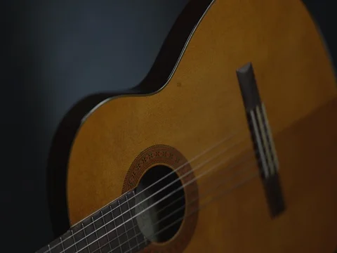 Guitar Body Stock Footage 73288643