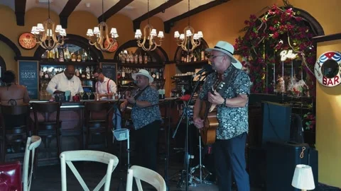 Guitar duo performing inside lively bar Stock Footage 321946743