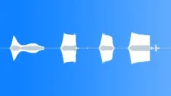 GUITAR Feedback 02Sound Effect