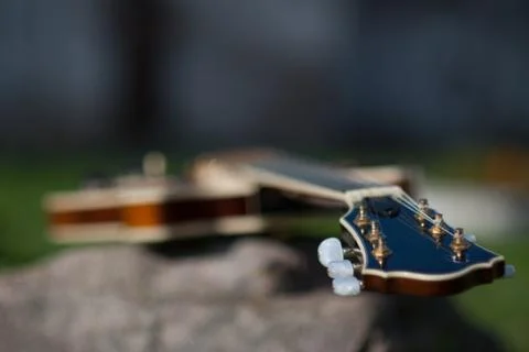 Guitar in flowers Foto stock