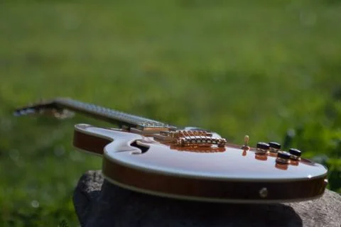 Guitar in flowers Stock Photos