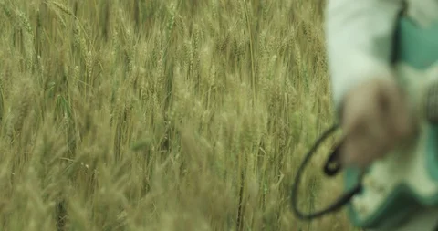 Guitar Stock Footage 119322888