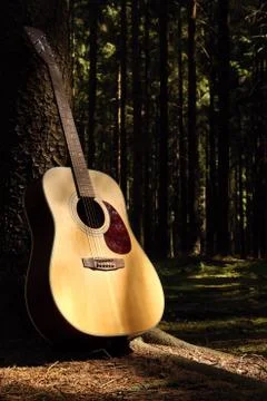 Guitar in forest Stock Photos