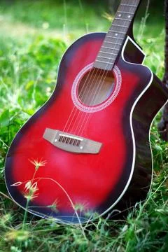 Guitar in forest Stock Photos