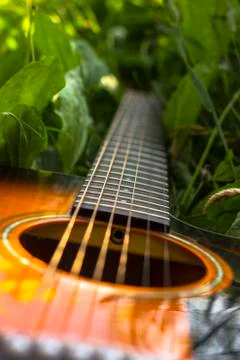 Guitar in the grass Stockfoto's
