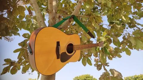 Guitar hanging on tree branches Stock Photos