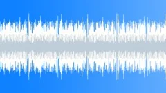 Guitar House Loop Stock Music