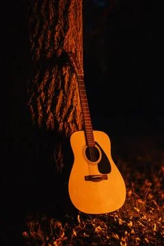 Guitar leaned on a tree lit by warm light from the bonfire Stock Photos