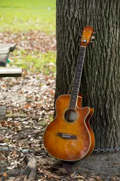 Guitar leaning on tree Stock-Fotos