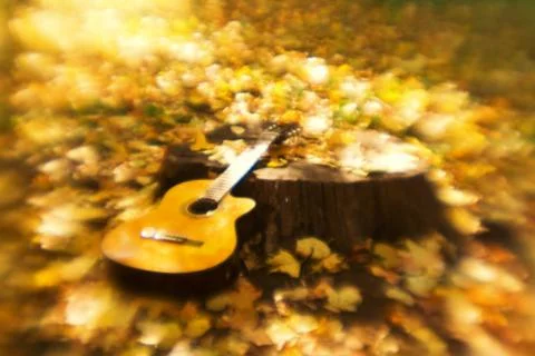 Guitar lying on a tree stump. Stock Photos