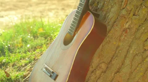Guitar near a tree Stock Footage 11881875