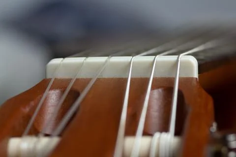 Guitar Nut Stock Photos