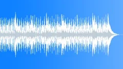 Guitar Phenomena 30 Stock Music