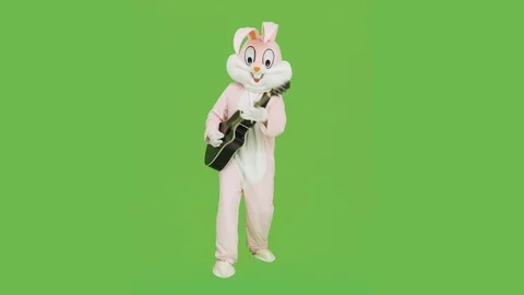 Guitar player in adults easter rabbit bunny suit costume plays guitar solo music Stock Footage 127020009