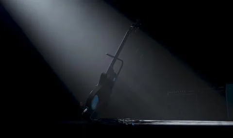 Guitar Tribute On Stage Stock Illustration