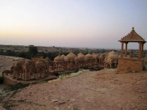 Gul Bug Stock Photos