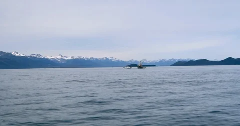Gulf of Alaska Stock Footage 93505584