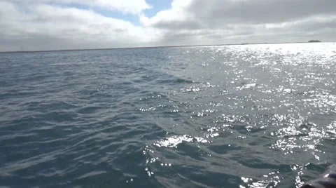 The Gulf of Alaska - Inside Passage Vidéo 58427706