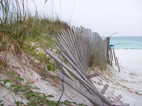 Gulf Beach Dune Fotos Stock