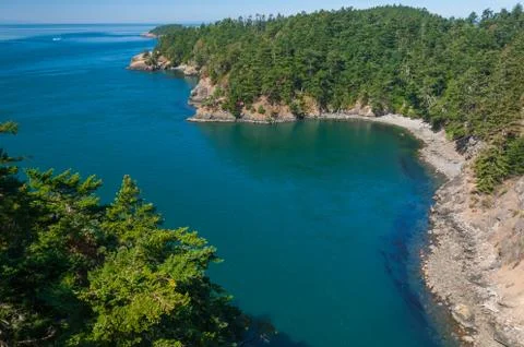 Gulf in forest Stock Photos