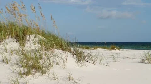 Gulf of Mexico Dunes Stock Footage 11810118