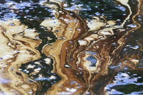 Gulf oil spill is shown on a beach Stock Photos