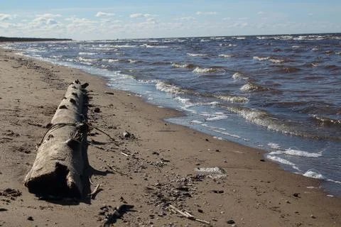 Gulf of Riga Stock Photos