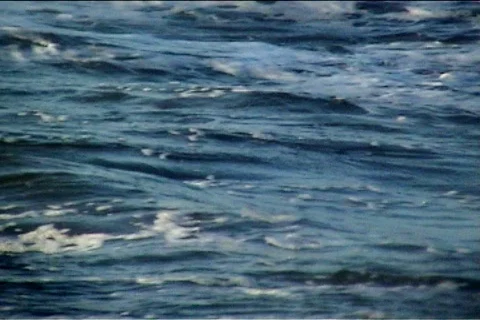 Gulfshore 库存影片 596097