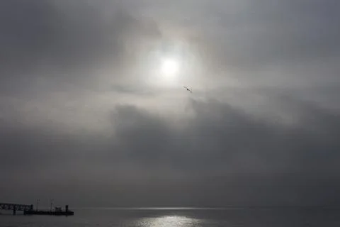 Gull Crossing Cloudscape over Harbor Foto stock
