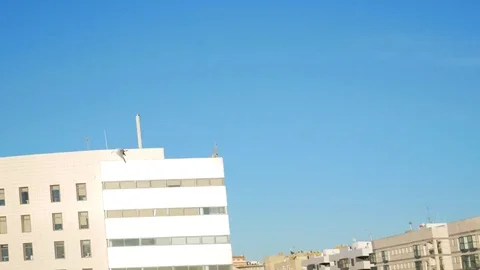 The gull flew over the water Stock Footage 83848976