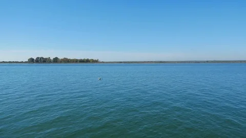 The gull flew over the water Stock Footage 85445733