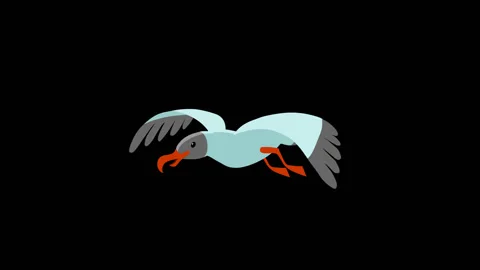 Gull Flies Animation Full HD 29.97 fps Stock Footage 123966906