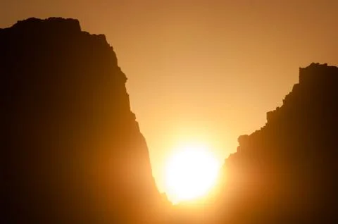 Gull perched on a rock at sunset. Stock Photos