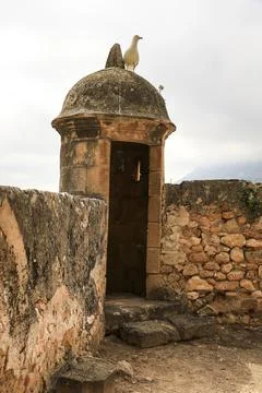 Gull perched on a sentry box of The Castle of Denia Stock Photos
