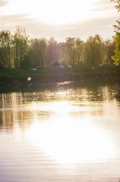 Gull on the river Stock Photos