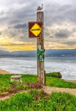 Gull on Warning Sign Stock Photos