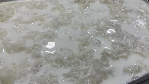Gullac Ramadan sweets. Close-up view of chef preparing gullac Stock Footage 238089287