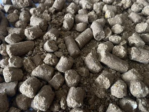 Gulli back stone Stock Photos